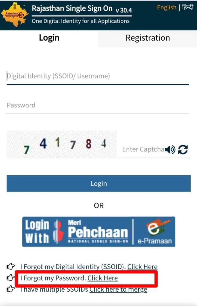 Open the password reset page